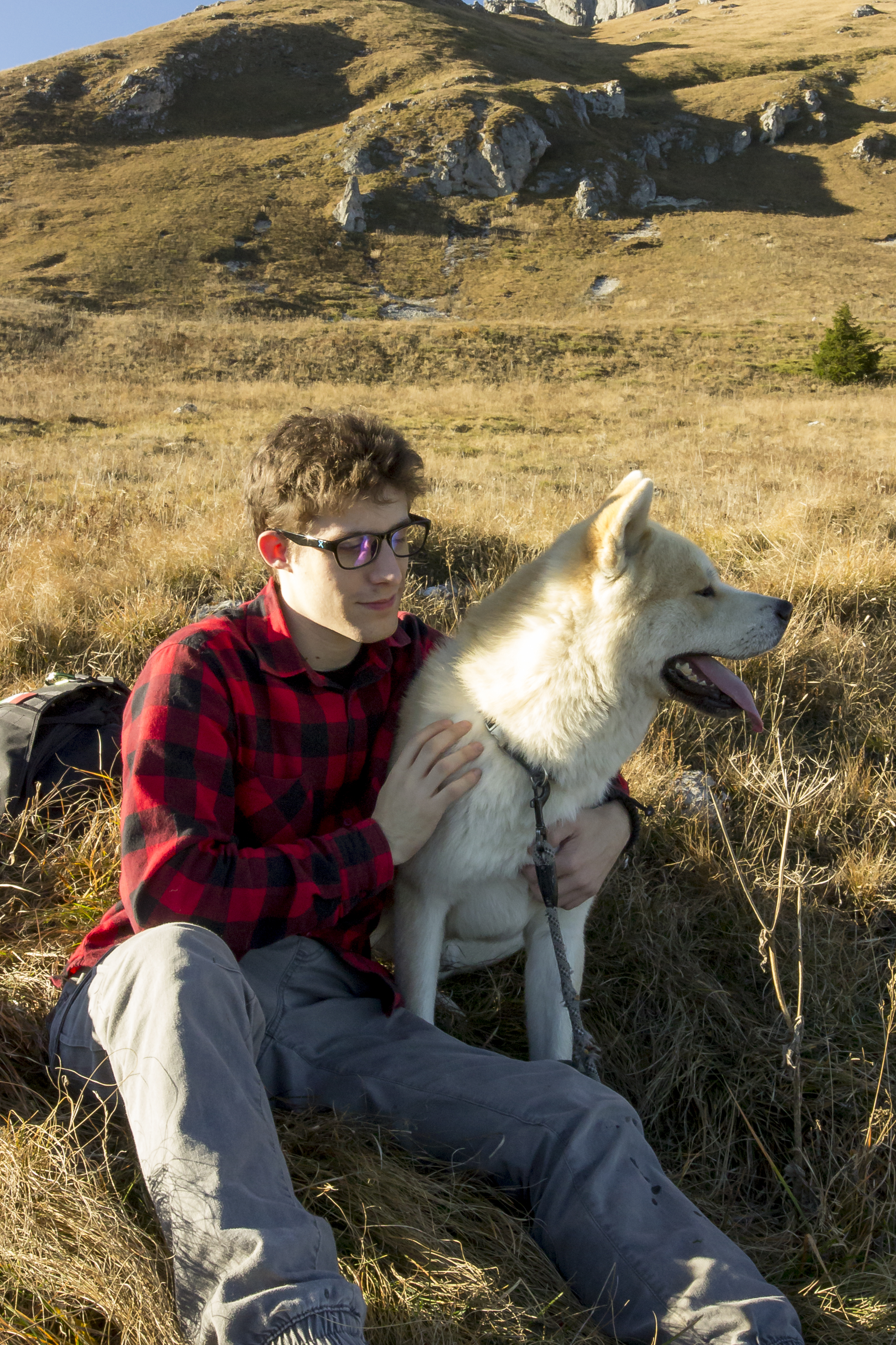 Martin Endrizzi, Collaboratore